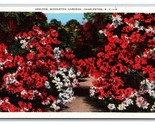 Azaleas in Middleton Gardens Charleston  SC V-Mail Linen Postcard N21 - $3.91