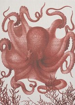 Wall Art Print 19th C Octopus III 39x54 54x39 White Coral Pink - £487.98 GBP