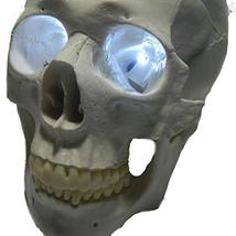 24 inch, Battery Operated, White Led Eyes for Masks, Skulls and Halloween Props - £8.01 GBP