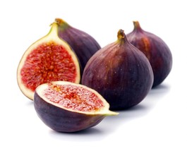 Live Plant &quot;Beer&#39;s Black&quot; Fig Fruit Tree &quot;Ficus Caric&quot; Live Starter Plant - £40.75 GBP