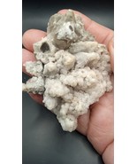 Beautiful White/ Black Chalcedony / Calcite Mineral - Arizona - - $19.39
