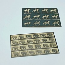 Eadweard Muybridge Animal Locomotion plates 733 &amp; 617 Witkin Gallery Lot... - £14.87 GBP