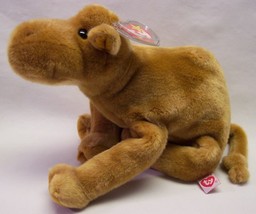 TY Beanie Buddy SOFT HUMPHREY THE CAMEL 11&quot; Plush STUFFED ANIMAL Toy NEW - £19.75 GBP