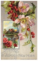 A Joyous New Year silver embossed home on lake New Year Postcard Posted 1911 - £9.29 GBP