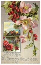 A Joyous New Year silver embossed home on lake New Year Postcard Posted 1911 - £9.23 GBP