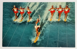 Water Ski Ballet Aquamaids Cypress Gardens Florida FL Curt Teich Postcar... - £5.49 GBP