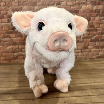 Furreal Friends Newborn Piglet Baby Pig Toy Plush Mini Hasbro Fur Real 2006 - $22.76