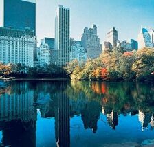 1980s New York City Postcard Continental Central Park Lake Hotels Italy ... - €17,16 EUR