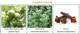 Parasite/Worm Cleanse Pack ~ Black Walnut Tincture, Wormwood, Clove Capsules - £23.17 GBP