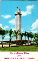 Vtg Postcard Citrus Tower Florida Clermont 50&#39;s Cars Postmarked  1958 - £4.44 GBP