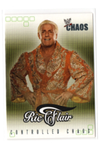 2004 Fleer WWE Ric Flair Controlled Chaos #13 Insert Four Horseman Natur... - $3.95