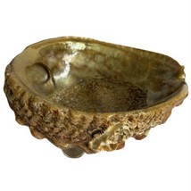 Red Abalone Shell Lucite Feet Footed Trinket Candy Bowl 6” Vtg Mid Century - £23.35 GBP