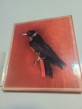 Rarest of the Rare Stories Behind the Harvard Museum Natural History Fir... - $19.99