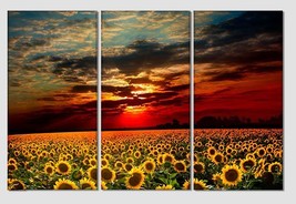 Sunflower Field Canvas Print Field Sunset Sunflower Canvas Art Nature Wall Art F - £39.16 GBP