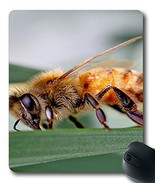 Winona  Bee 2 Animal Custom?Cloth?Top?Mouse?Pad/Mouse?Mat - £7.96 GBP