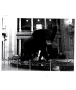 Photograph New York Museum Of Natural History  (1960&quot;s) - €2,50 EUR