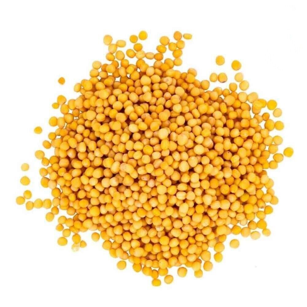 Mustard Oriental whole seed Herb Tea - Sarep mustard yellow, Brassica juncea - $5.92 - $33.02