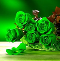 Elegant Big Blooming Green Rose Shrub, 50 seeds, light fragrant flowers - £8.47 GBP