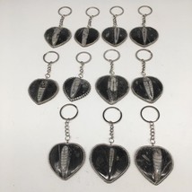 1pc, 4.25&quot;-4.5&quot;, 26g-40g, Black Orthoceras Fossil Heart Keychain @Morocco,FP08 - £4.72 GBP