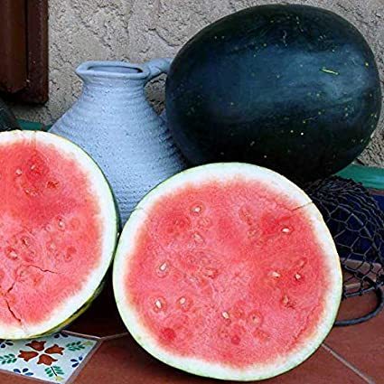 Super Black Skin Red Seedless Watermelon Organic Seed, Original Pack, Super Swee