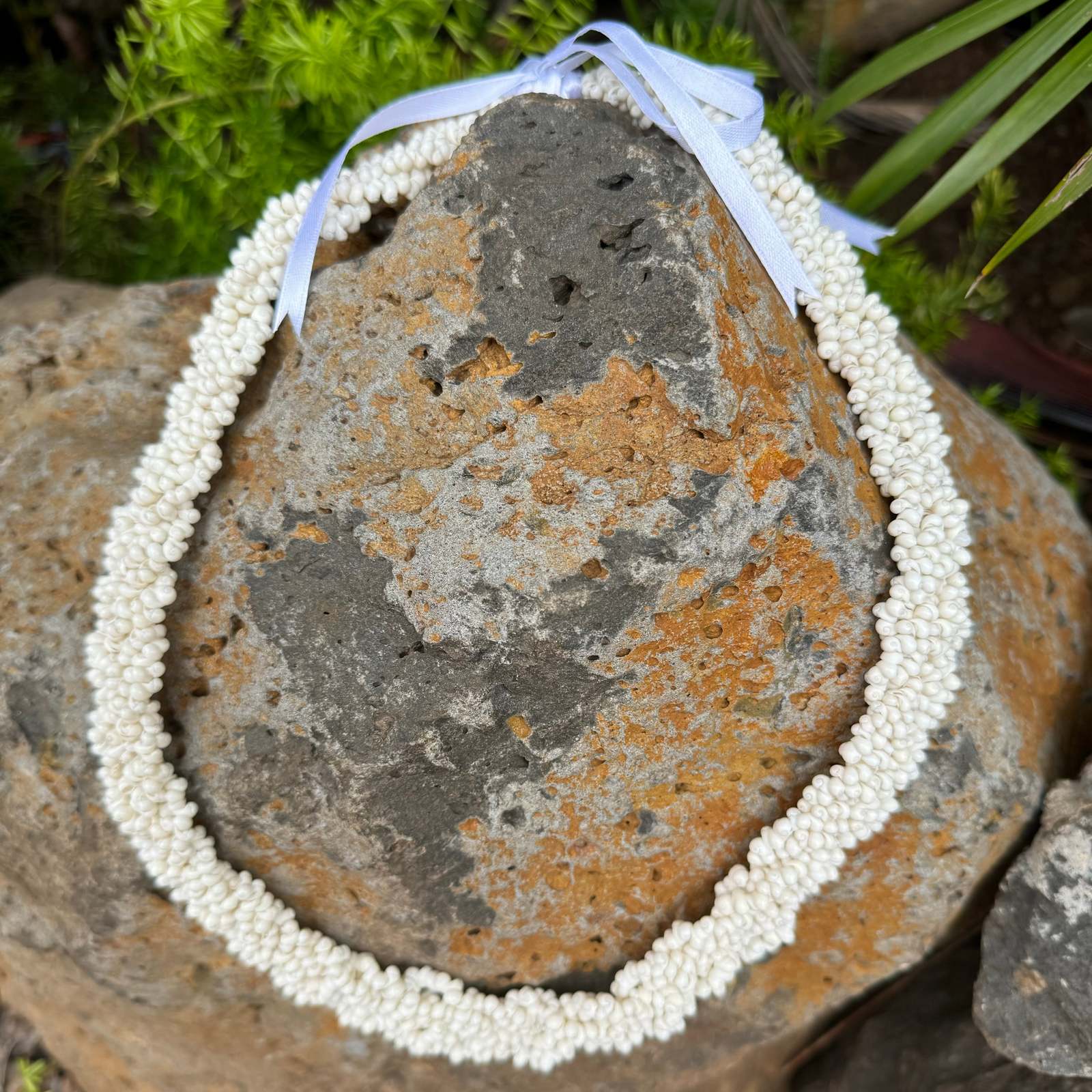 da Hawaiian Store Flat Braided Mongo Shell Lei Necklace (Choose Color) - $29.99