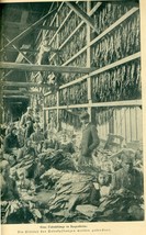 DIE WOCHE &quot;This Week&quot; #41 1903 German magazine tobacco farming photos - £7.75 GBP