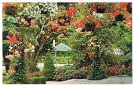 Victoria British Columbia Postcard Butchart Gardens Hanging Baskets - £2.28 GBP