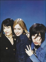 Sleater-Kinney Janet Weiss Corin Tucker Carrie Brownstein pin-up photo / article - £3.38 GBP