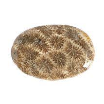 41.87 Carats TCW 100% Natural Beautiful Fossil Coral Oval cabochon Gem by DVG - £17.95 GBP