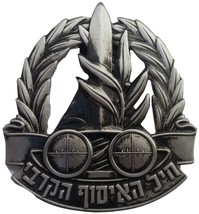 IDF Israeli army FIELD INTELLIGENCE CAP BADGE Israel beret hat pin binoc... - £10.82 GBP