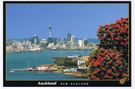 New Zealand Postcard Auckland Pohutukawa Tree NZ Christmas Tree - $3.95