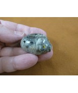 Y-LAD-56) gray Ladybug ladybird beetle love bugs figurine carving SOAPST... - $163.26 MXN