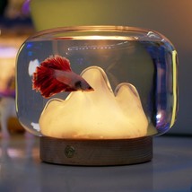 Glass Oasis: Mini Desktop Fish Tank with Rockery Decoration - £28.08 GBP