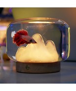 Glass Oasis: Mini Desktop Fish Tank with Rockery Decoration - £27.87 GBP