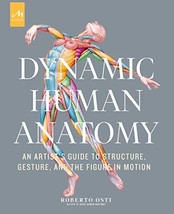 Dynamic Human Anatomy: An Artists Guide to Structure, Gesture, and the Figure in - £27.22 GBP