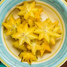 Star fruit (CARAMBOLA) Tropical 5+ Sprouted Seeds - $5.00