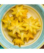 Star fruit (CARAMBOLA) Tropical 5+ Sprouted Seeds - $6.85 CAD