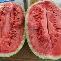 New Fresh Jubilee Sweet Watermelon Seeds 75 Seeds - $3.98