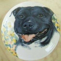 Cabinet Knobs W/ American Staffordshire Terrier Monica DOG - £4.28 GBP