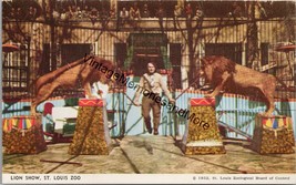 Lion Show St. Louis Zoo St. Louis MO Postcard PC322 - £10.38 GBP