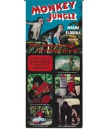 Vintage Monkey Jungle Miami FL Florida Travel Souvenir Brochure 1960 - $167.49 MXN