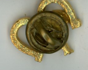 Vintage lucky elephant Republican political campaign pin horseshoes Item image 2