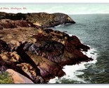 Black Sheep Monhegan Maine ME DB Postcard Y3 - $3.91