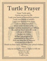 Turtle Prayer poster - £12.83 GBP