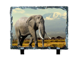 ELEPHANTS #6000 on 6 x 8 SUBLISLATE - $14.80
