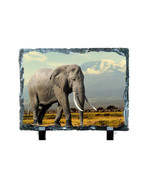 ELEPHANTS #6000 on 6 x 8 SUBLISLATE - $14.80