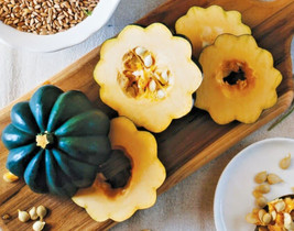 SEPT 20 Fresh Table Queen Acorn Premium Squash Seeds A 67 - $5.88