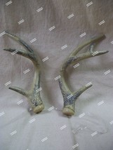 Plastic Deer Costume Antlers Horns Reindeer Fantasy Mythical Jackalope Stag Elk - £13.29 GBP