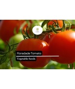 50 Seeds Floradade Tomato (Solanum lycopersicum) – Heat-Tolerant, High-Yielding  - $5.71