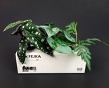 Ikea FEJKA Artificial Potted Plant 5&quot; Indoor/Outdoor Green Pothos - £9.73 GBP